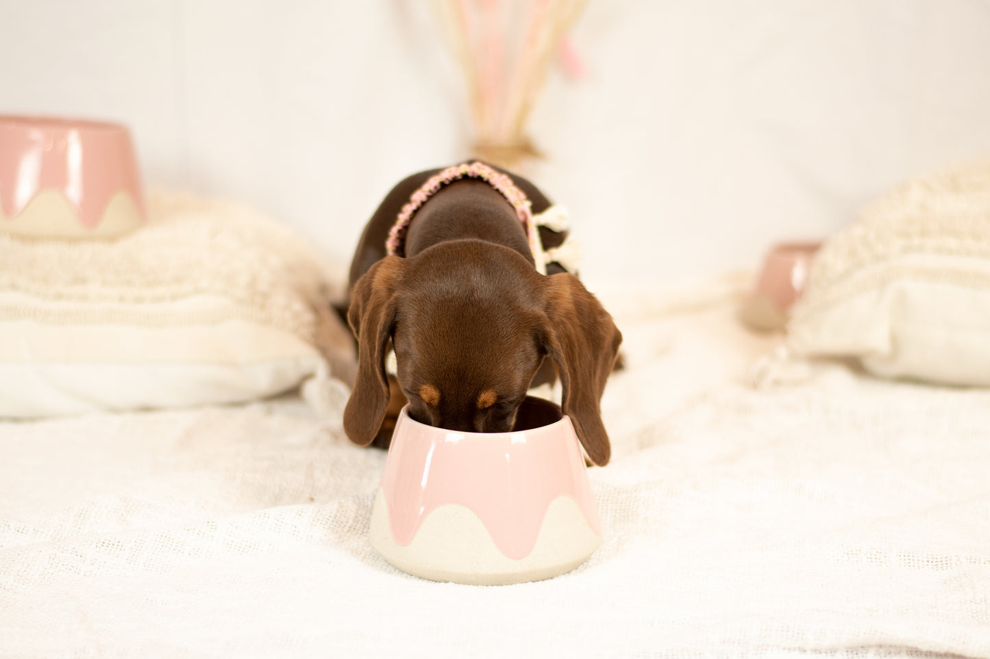 Dog Water Bowl