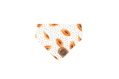 Fruit Dog Bandana